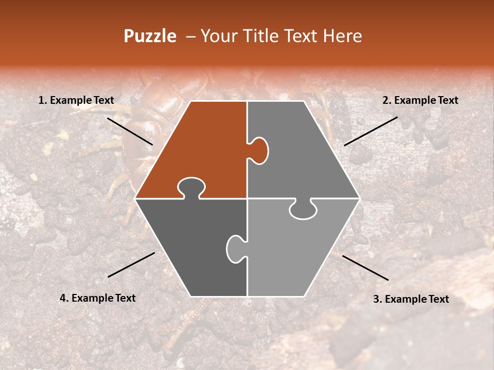 Centipede Arthropod Wildlife PowerPoint Template