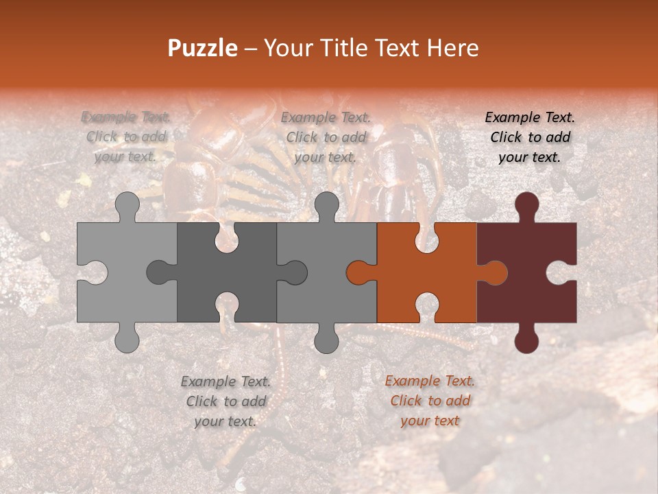 Centipede Arthropod Wildlife PowerPoint Template