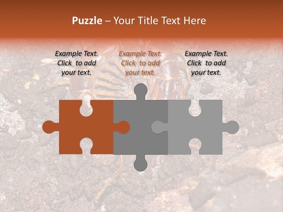 Centipede Arthropod Wildlife PowerPoint Template