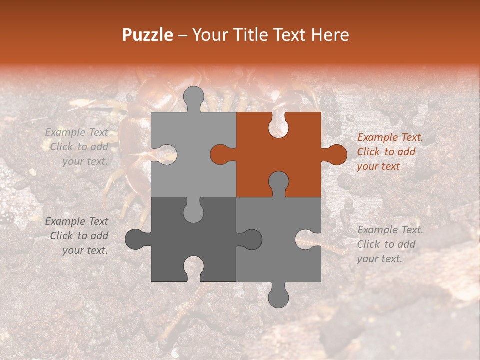 Centipede Arthropod Wildlife PowerPoint Template