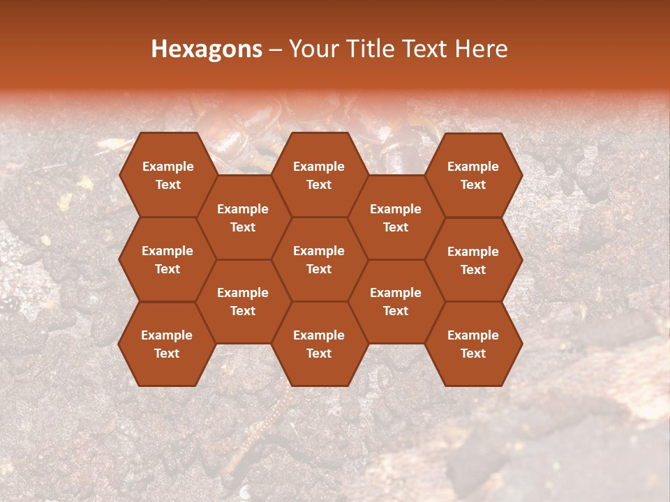 Centipede Arthropod Wildlife PowerPoint Template