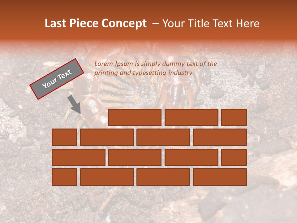 Centipede Arthropod Wildlife PowerPoint Template