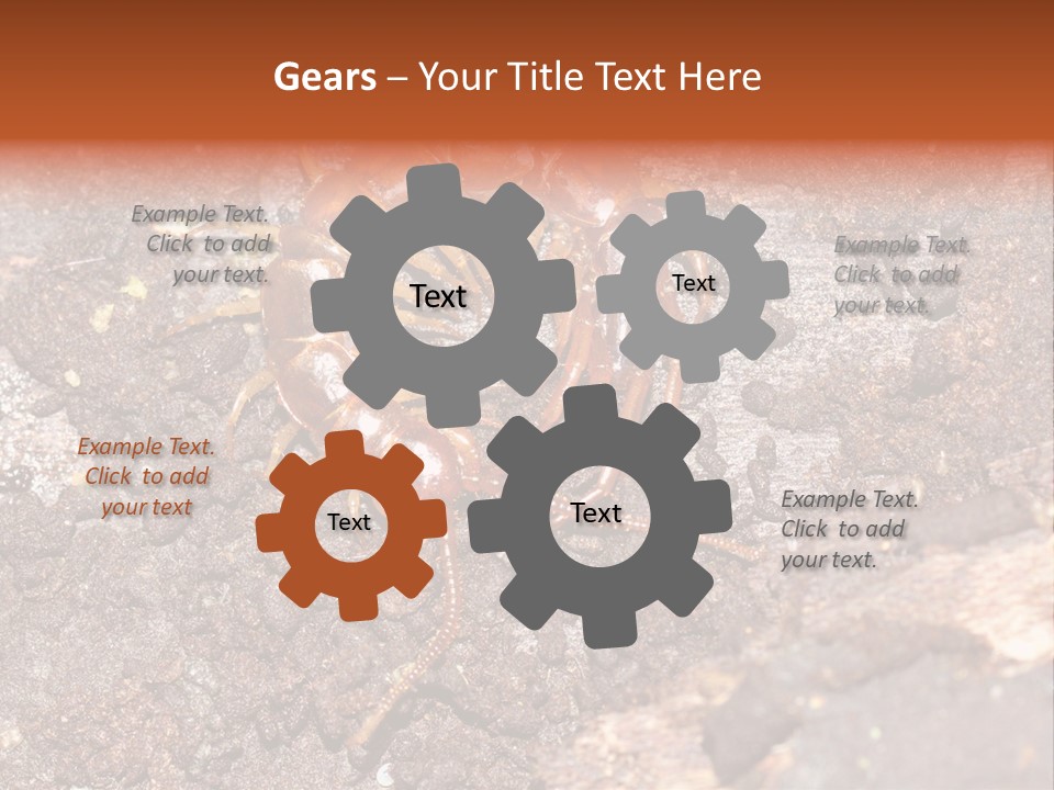 Centipede Arthropod Wildlife PowerPoint Template