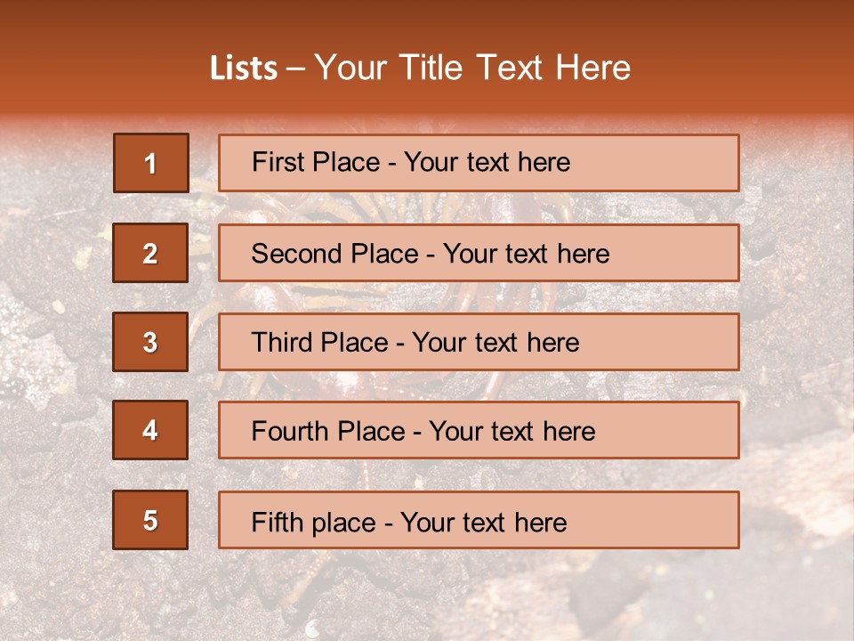 Centipede Arthropod Wildlife PowerPoint Template