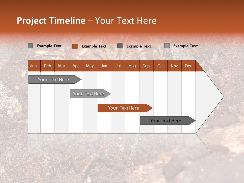 Centipede Arthropod Wildlife PowerPoint Template