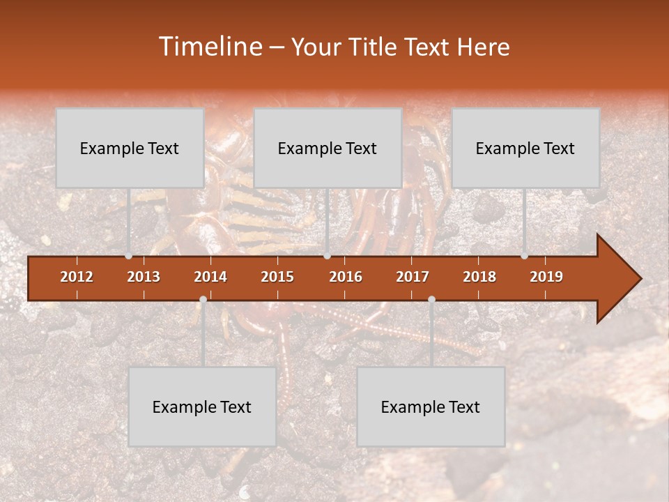 Centipede Arthropod Wildlife PowerPoint Template