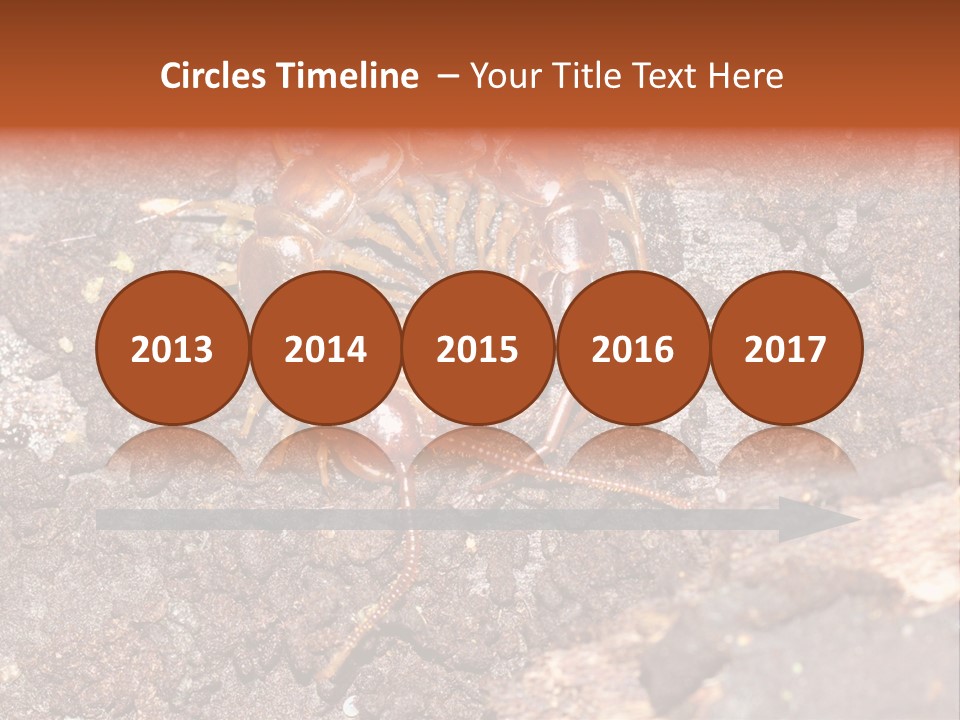 Centipede Arthropod Wildlife PowerPoint Template