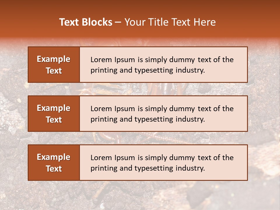 Centipede Arthropod Wildlife PowerPoint Template