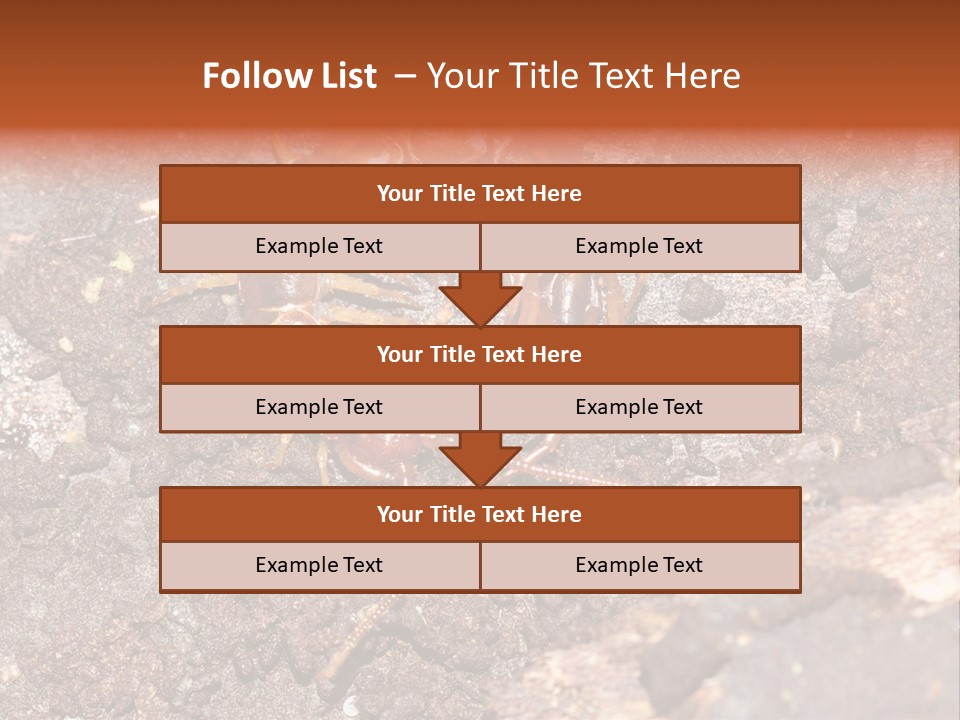 Centipede Arthropod Wildlife PowerPoint Template