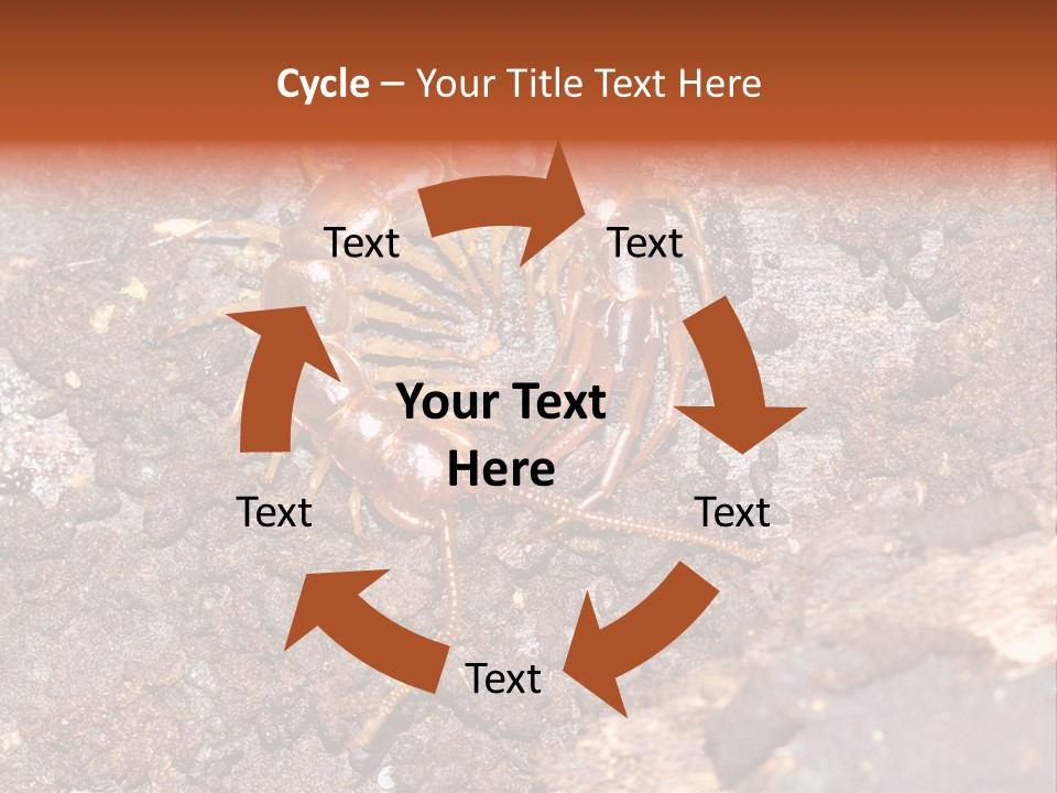 Centipede Arthropod Wildlife PowerPoint Template