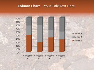 Centipede Arthropod Wildlife PowerPoint Template