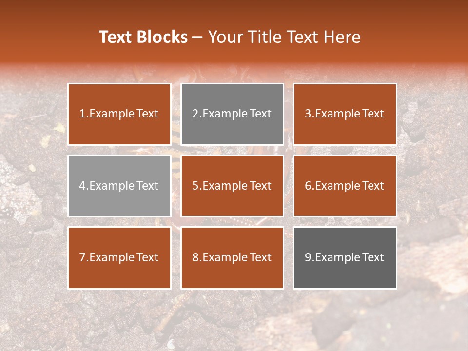 Centipede Arthropod Wildlife PowerPoint Template