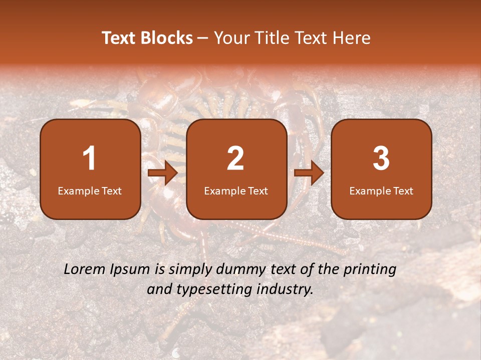 Centipede Arthropod Wildlife PowerPoint Template