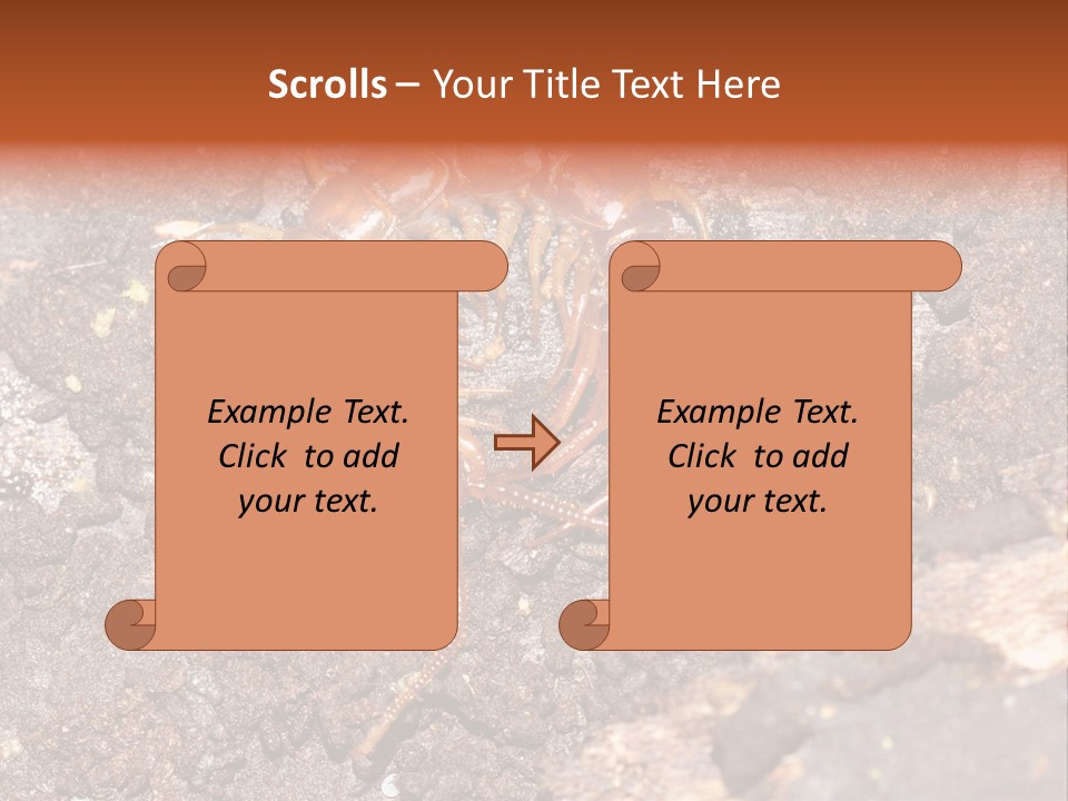 Centipede Arthropod Wildlife PowerPoint Template