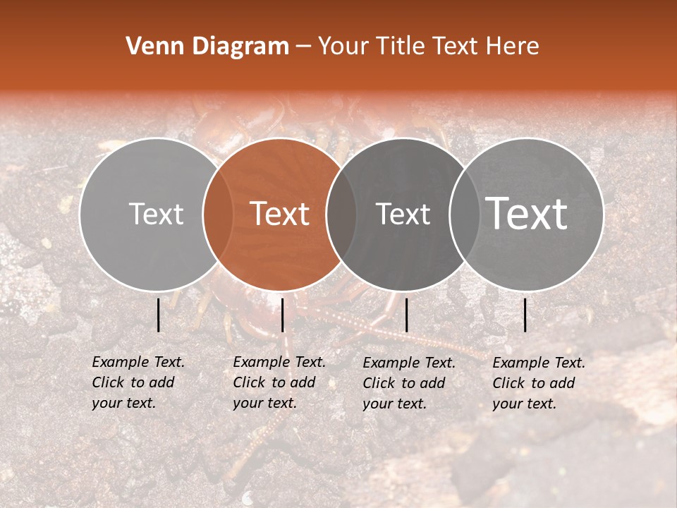 Centipede Arthropod Wildlife PowerPoint Template