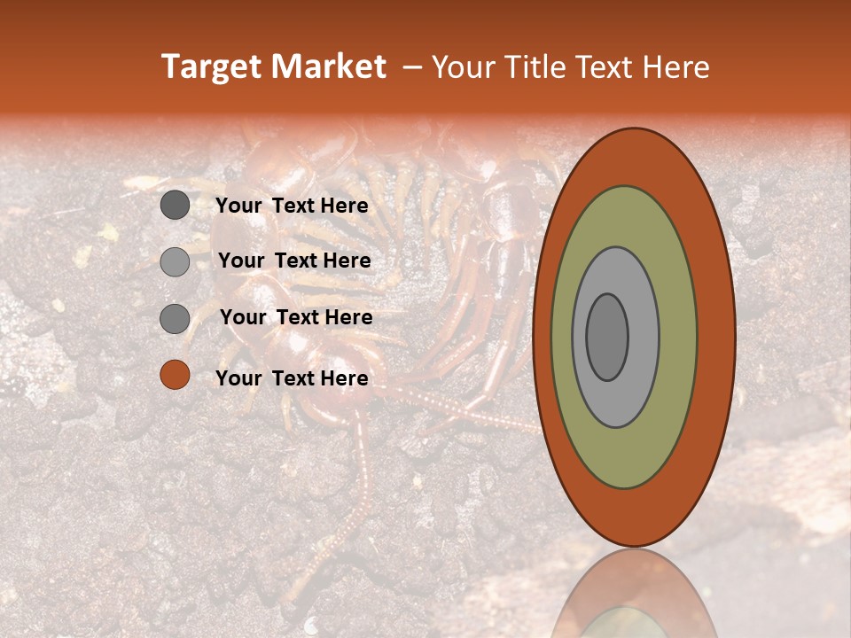 Centipede Arthropod Wildlife PowerPoint Template