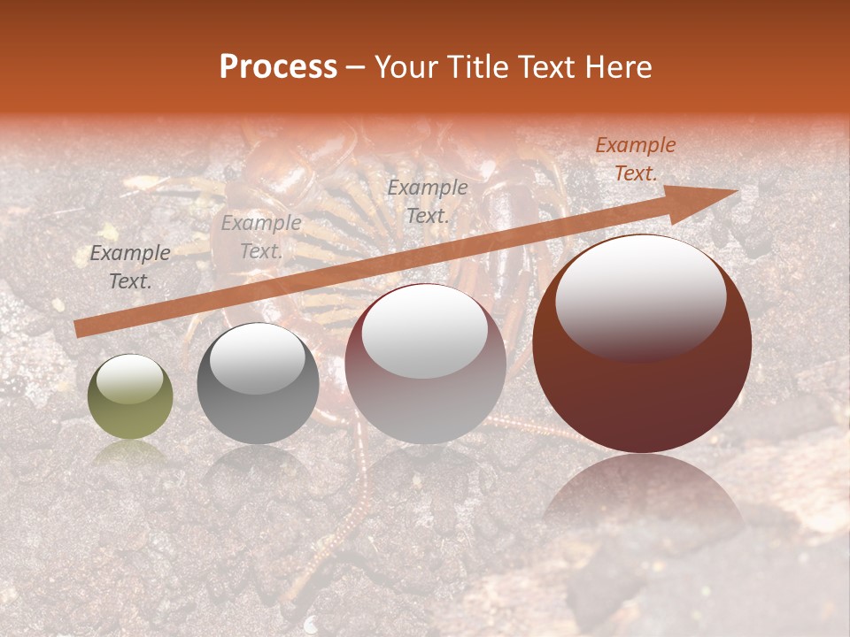Centipede Arthropod Wildlife PowerPoint Template