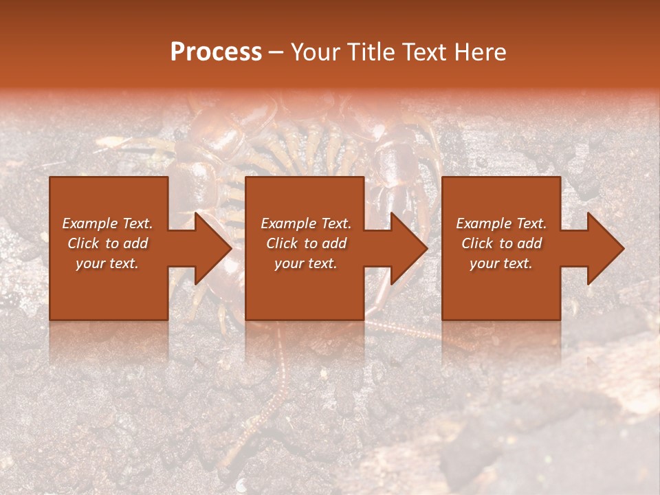 Centipede Arthropod Wildlife PowerPoint Template