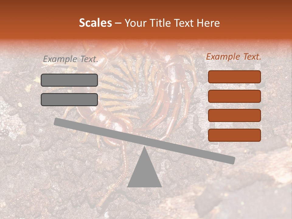 Centipede Arthropod Wildlife PowerPoint Template