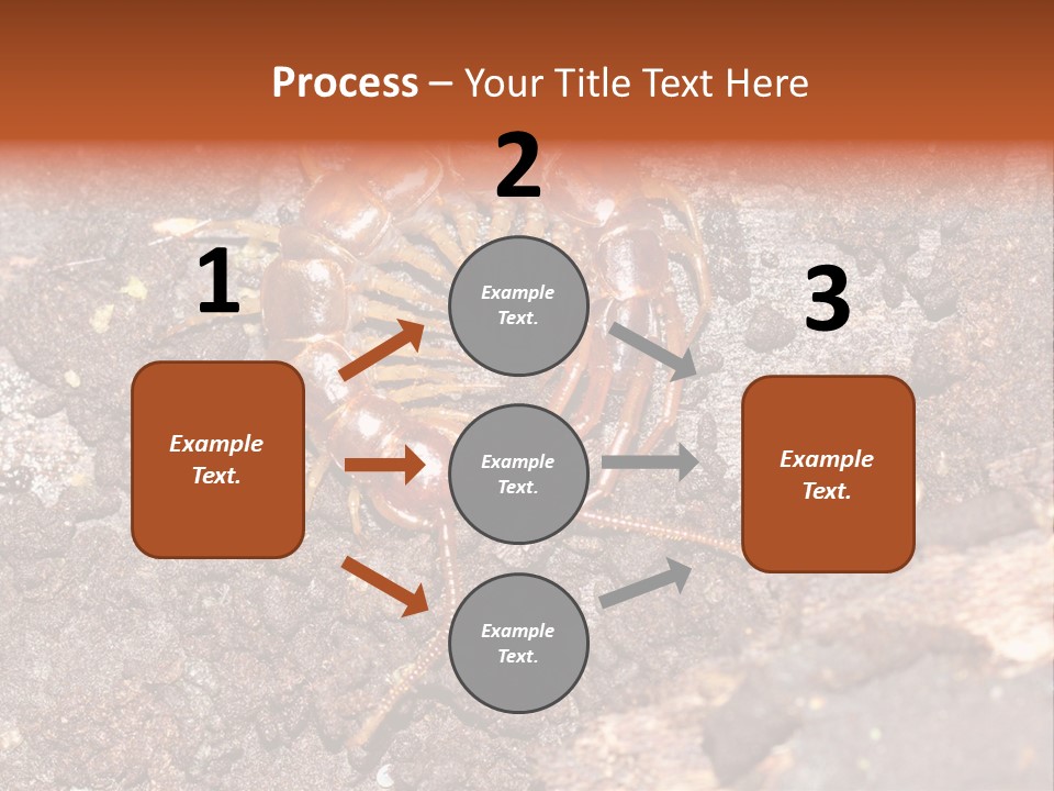 Centipede Arthropod Wildlife PowerPoint Template