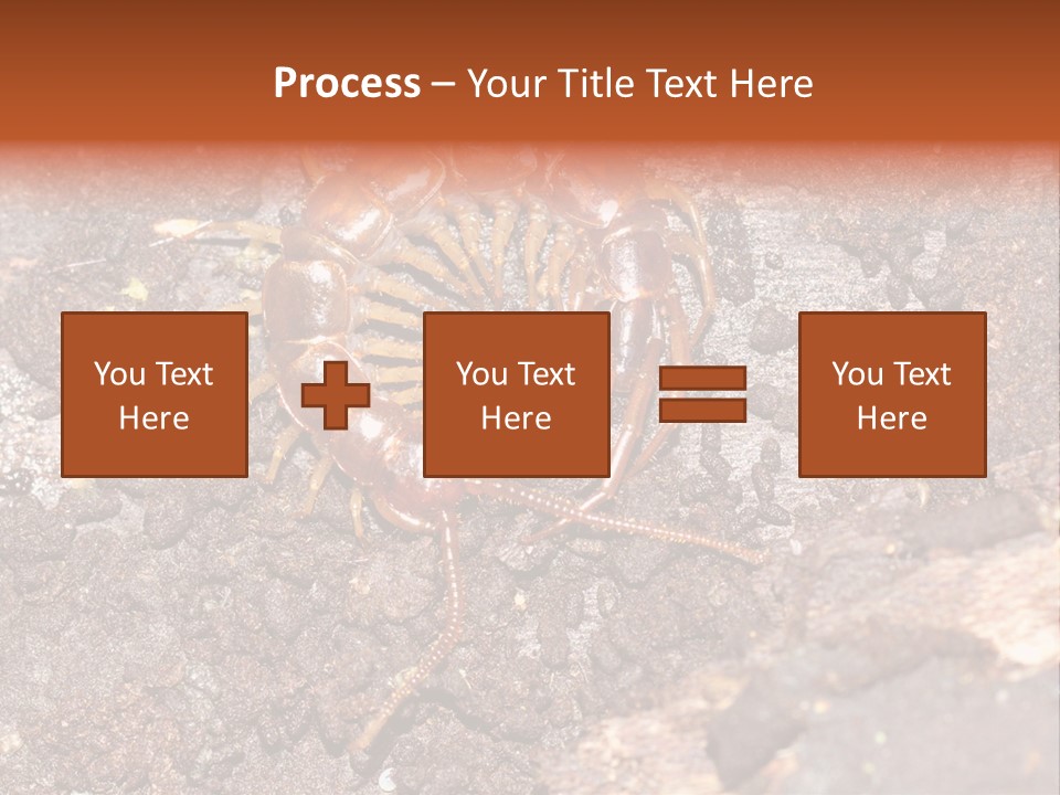 Centipede Arthropod Wildlife PowerPoint Template