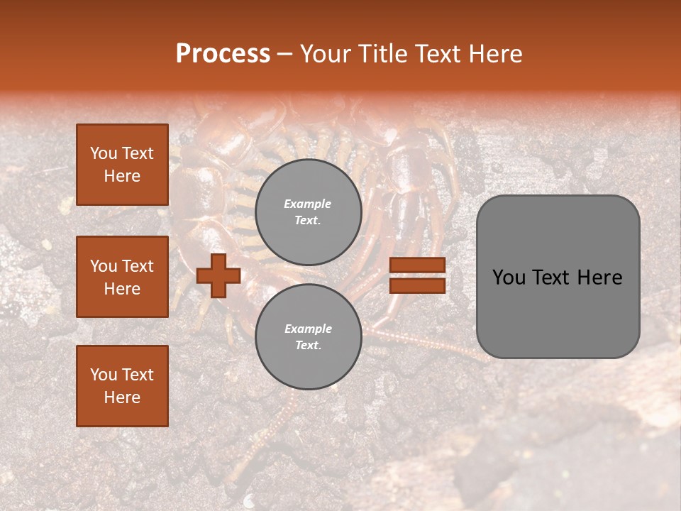 Centipede Arthropod Wildlife PowerPoint Template