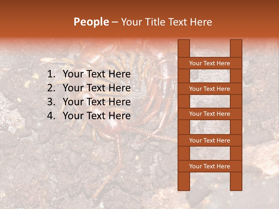 Centipede Arthropod Wildlife PowerPoint Template