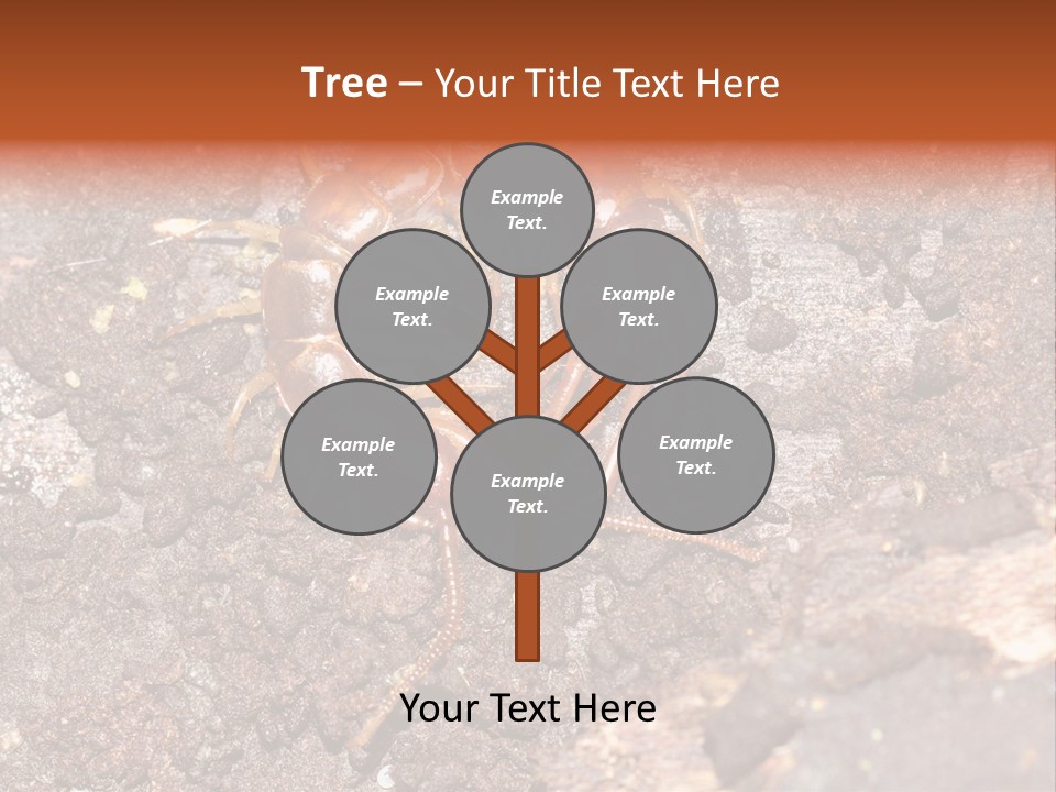 Centipede Arthropod Wildlife PowerPoint Template
