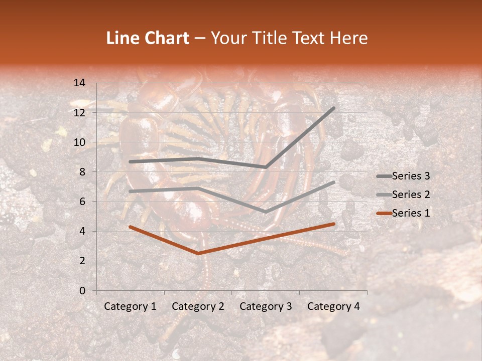 Centipede Arthropod Wildlife PowerPoint Template