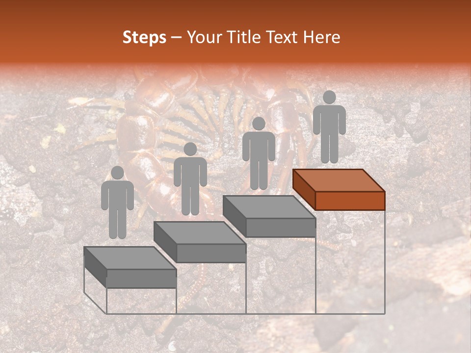 Centipede Arthropod Wildlife PowerPoint Template