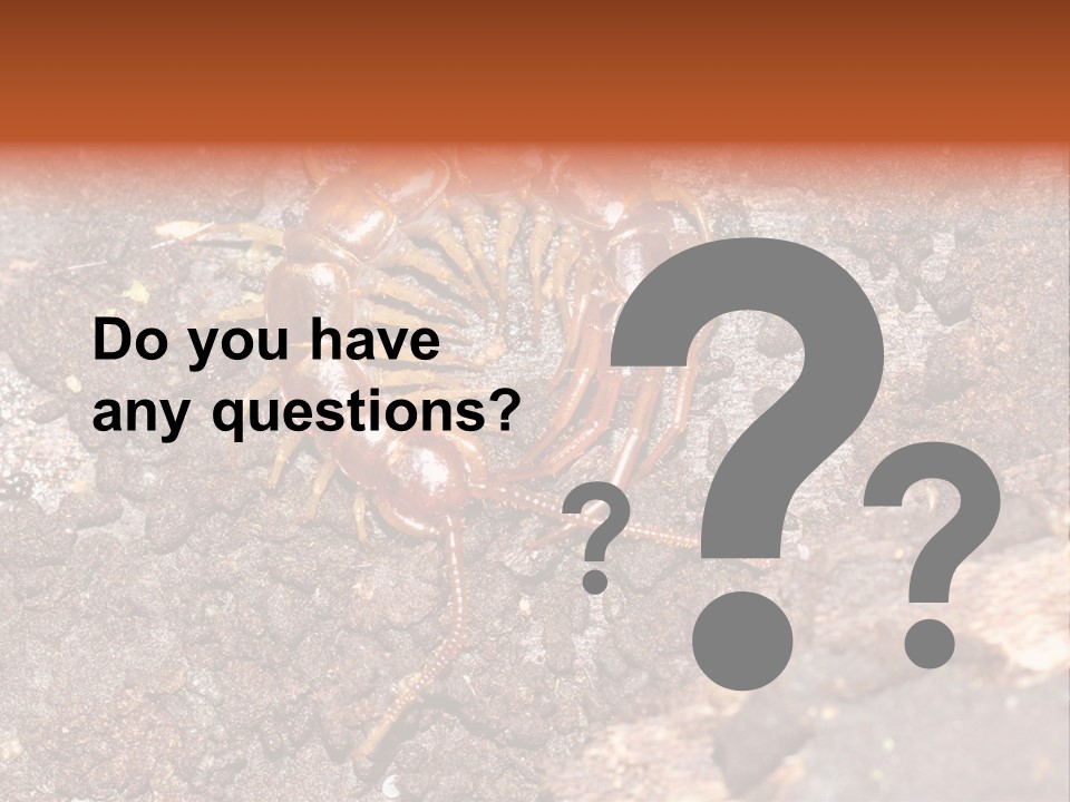 Centipede Arthropod Wildlife PowerPoint Template