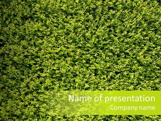 Green Eco Lush PowerPoint Template