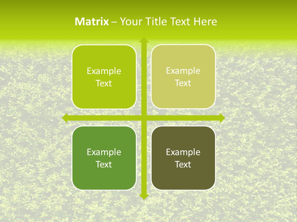 Green Eco Lush PowerPoint Template