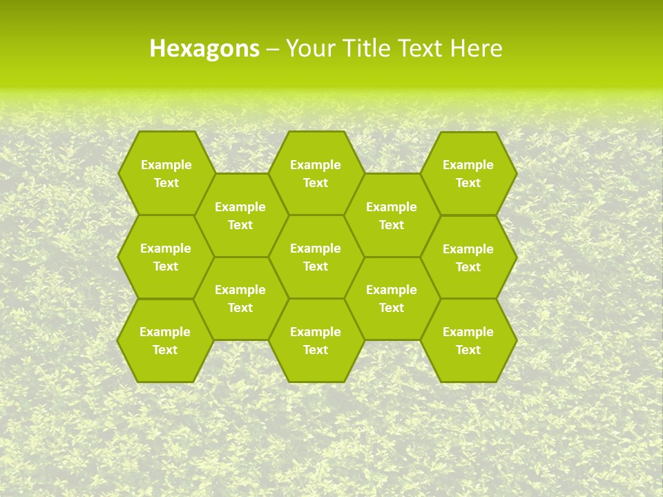 Green Eco Lush PowerPoint Template