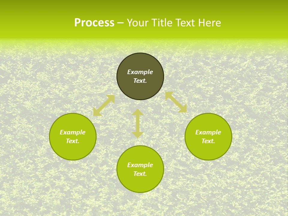 Green Eco Lush PowerPoint Template