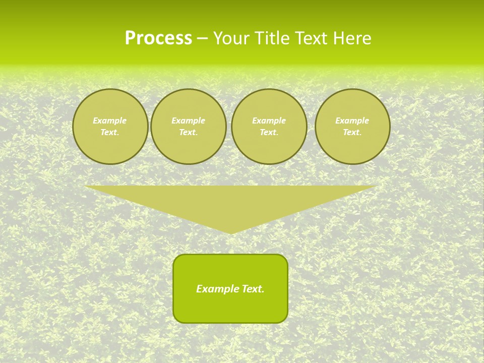 Green Eco Lush PowerPoint Template