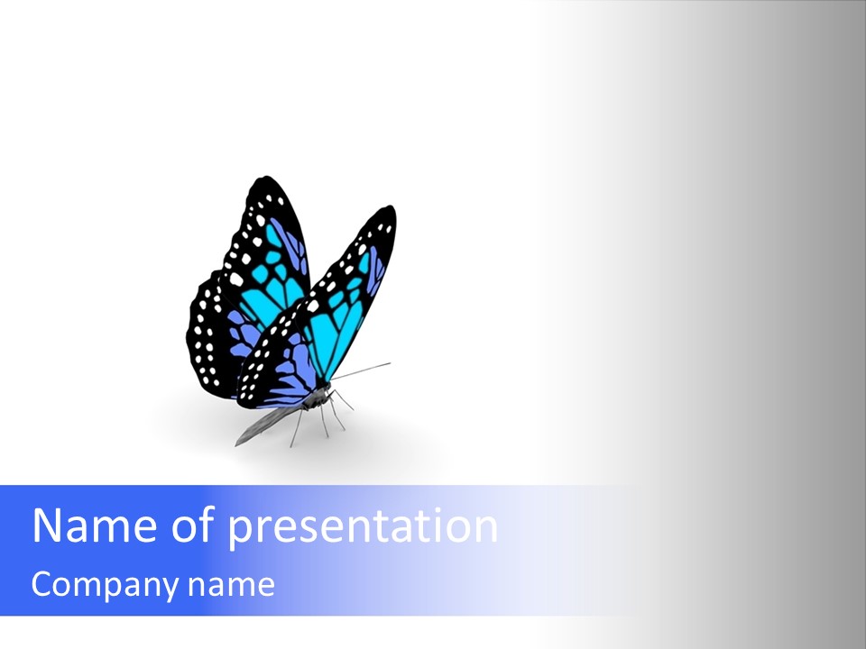 Insect Butterfly Wildlife PowerPoint Template