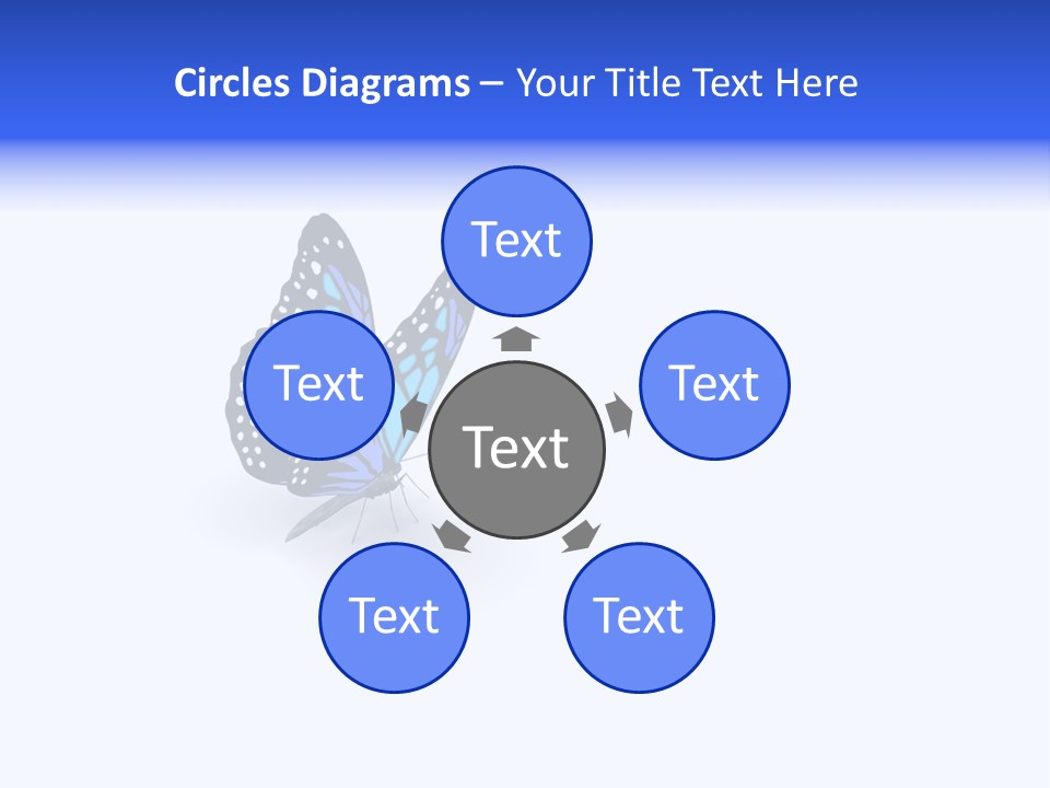 Insect Butterfly Wildlife PowerPoint Template