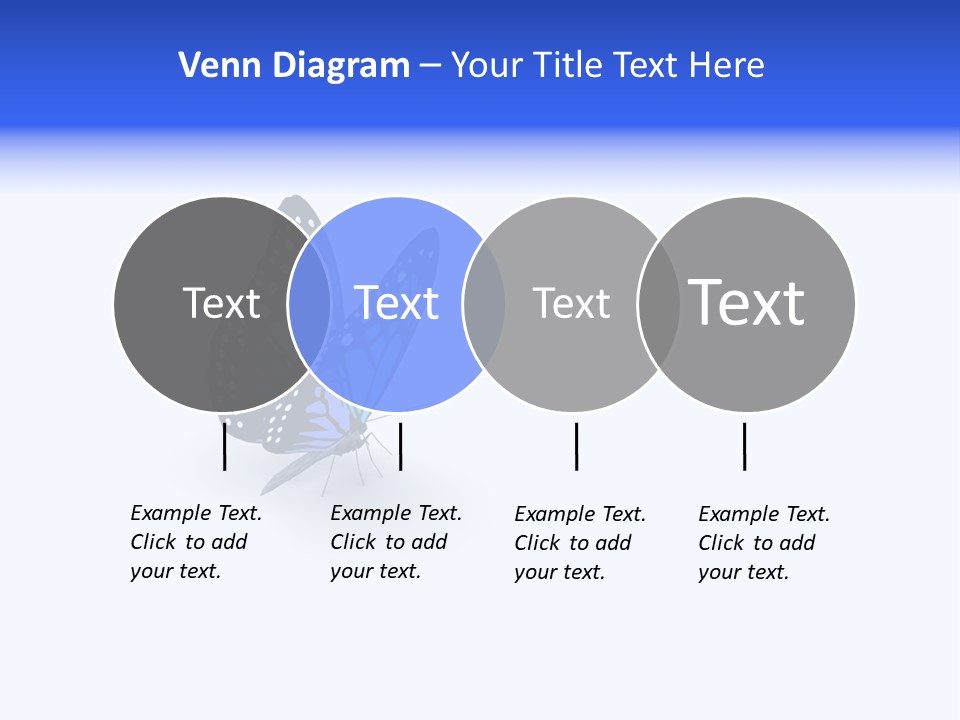 Insect Butterfly Wildlife PowerPoint Template
