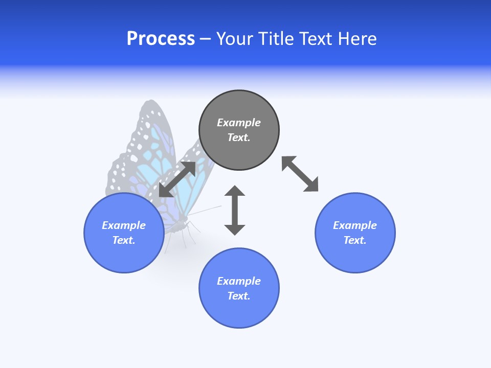 Insect Butterfly Wildlife PowerPoint Template