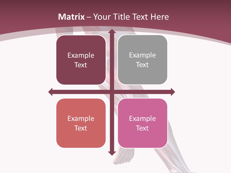 Wellbeing Shape Muscular PowerPoint Template