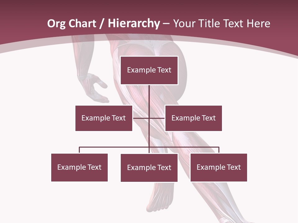 Wellbeing Shape Muscular PowerPoint Template