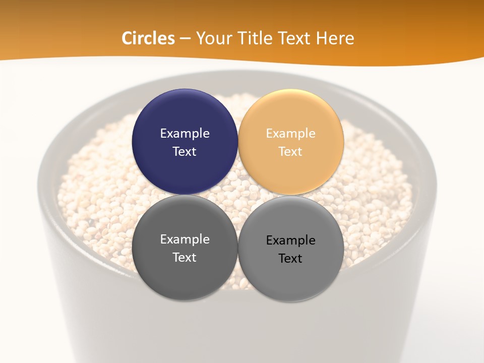 Seed Protein Agriculture PowerPoint Template