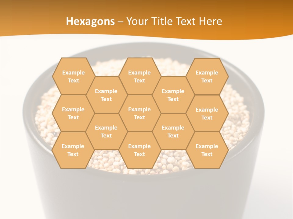 Seed Protein Agriculture PowerPoint Template