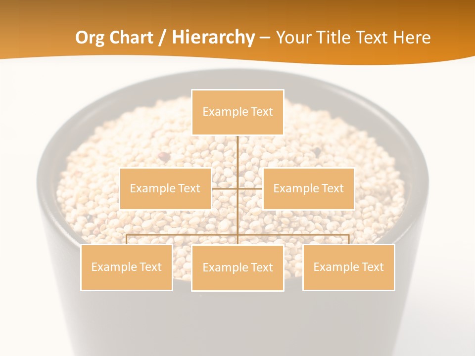 Seed Protein Agriculture PowerPoint Template