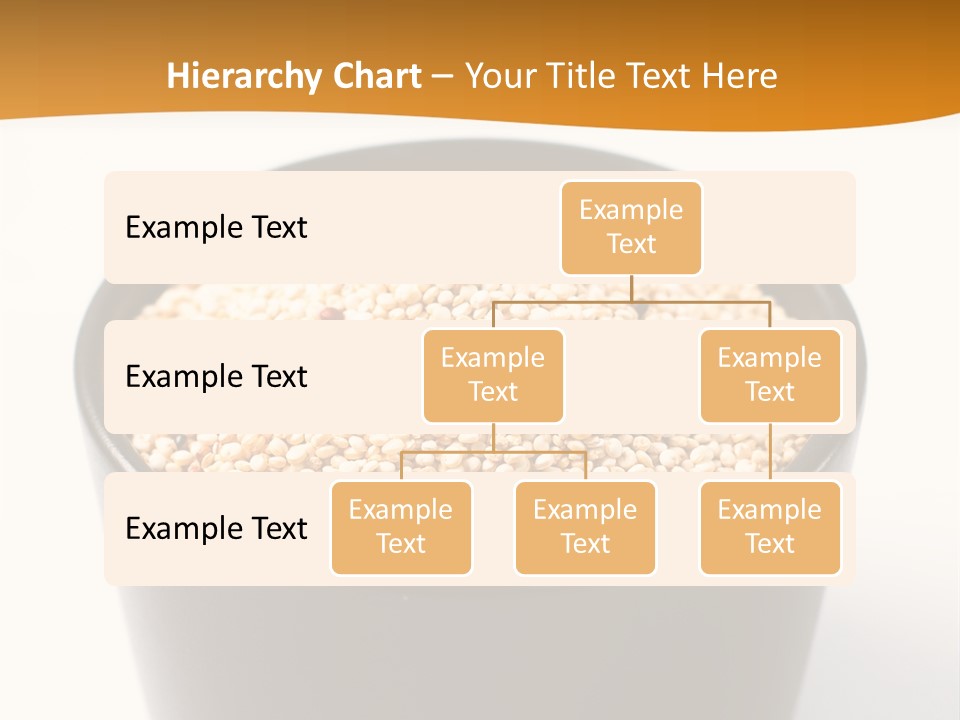 Seed Protein Agriculture PowerPoint Template