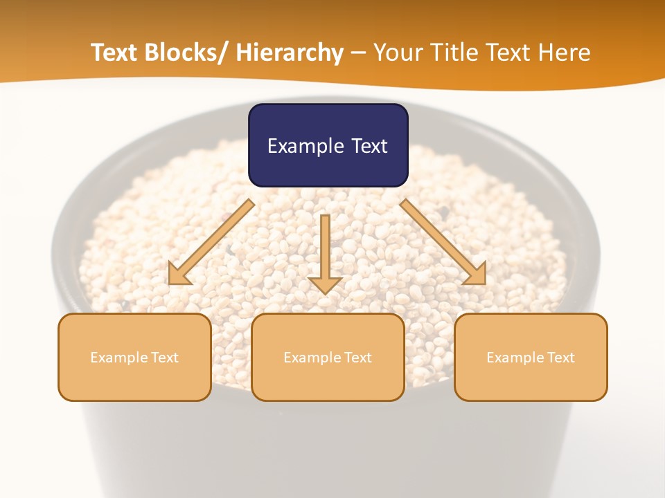 Seed Protein Agriculture PowerPoint Template