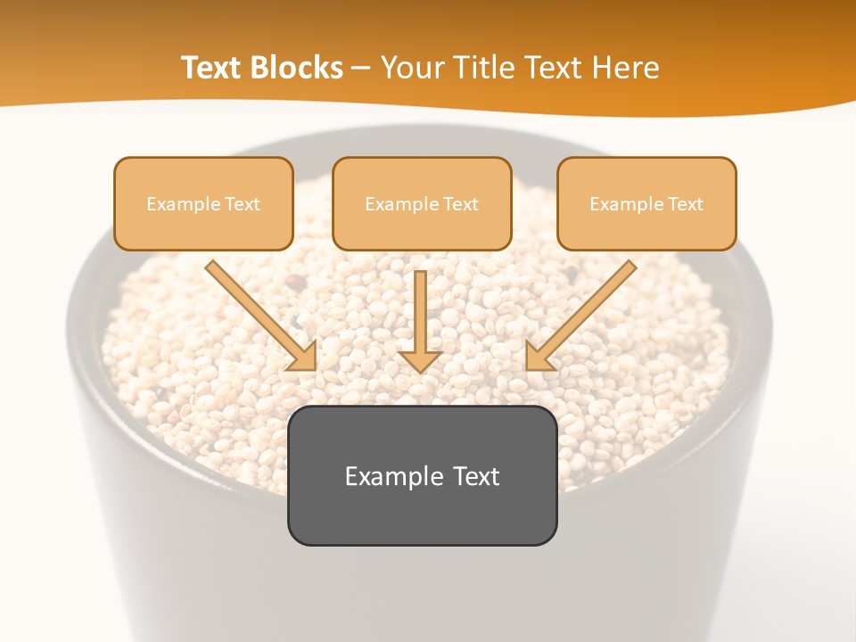 Seed Protein Agriculture PowerPoint Template