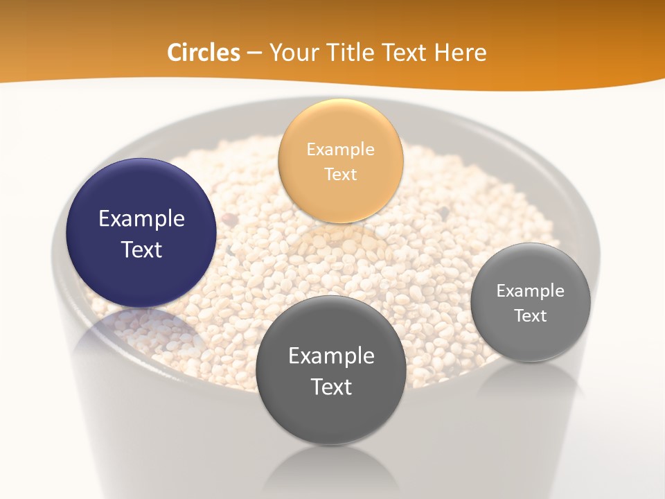 Seed Protein Agriculture PowerPoint Template