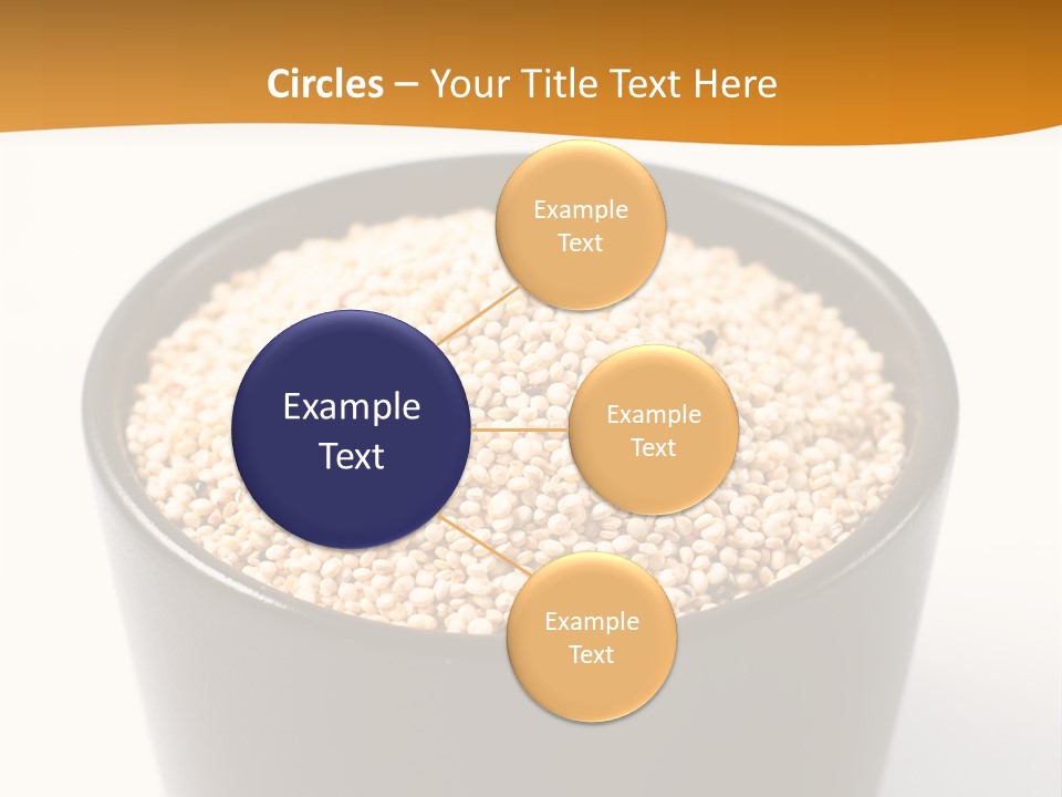 Seed Protein Agriculture PowerPoint Template